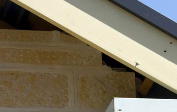 soffit repair Duffstown