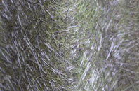 Duffstown fibreglass roof work